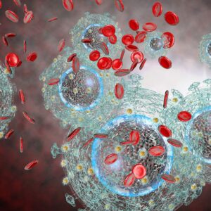image of HIV virus in the blood stream