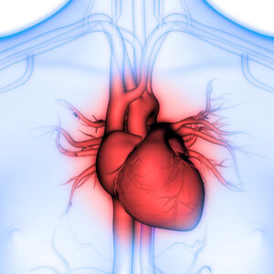 Course Image: Cardiovascular Disease Prevention