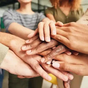 Cultural Competency for the Healthcare Professional